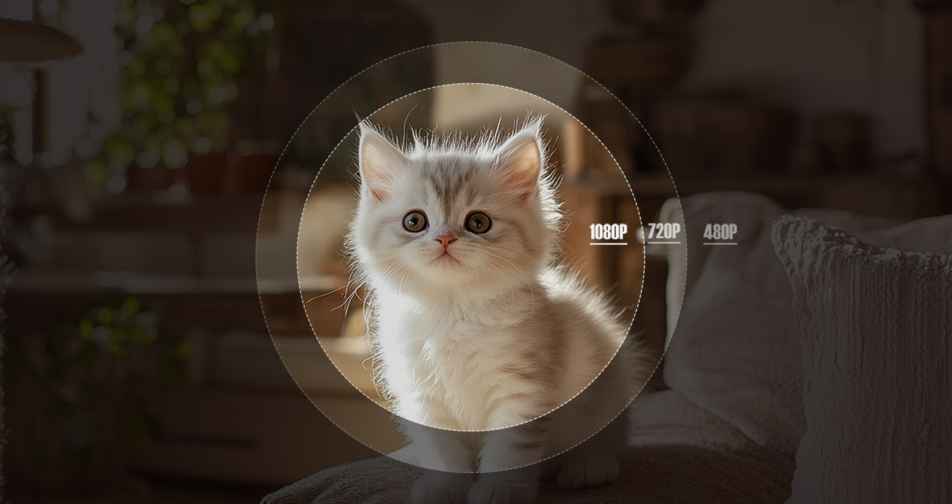 True Native FHD1080P,4K Supported